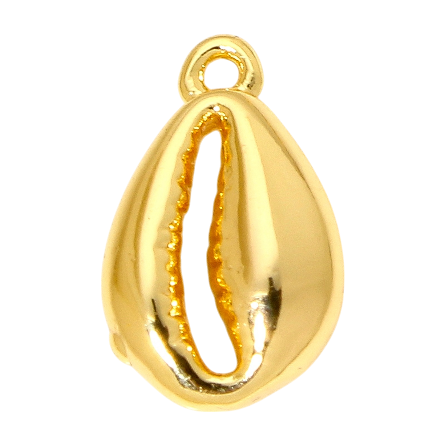 Cowrie Shell