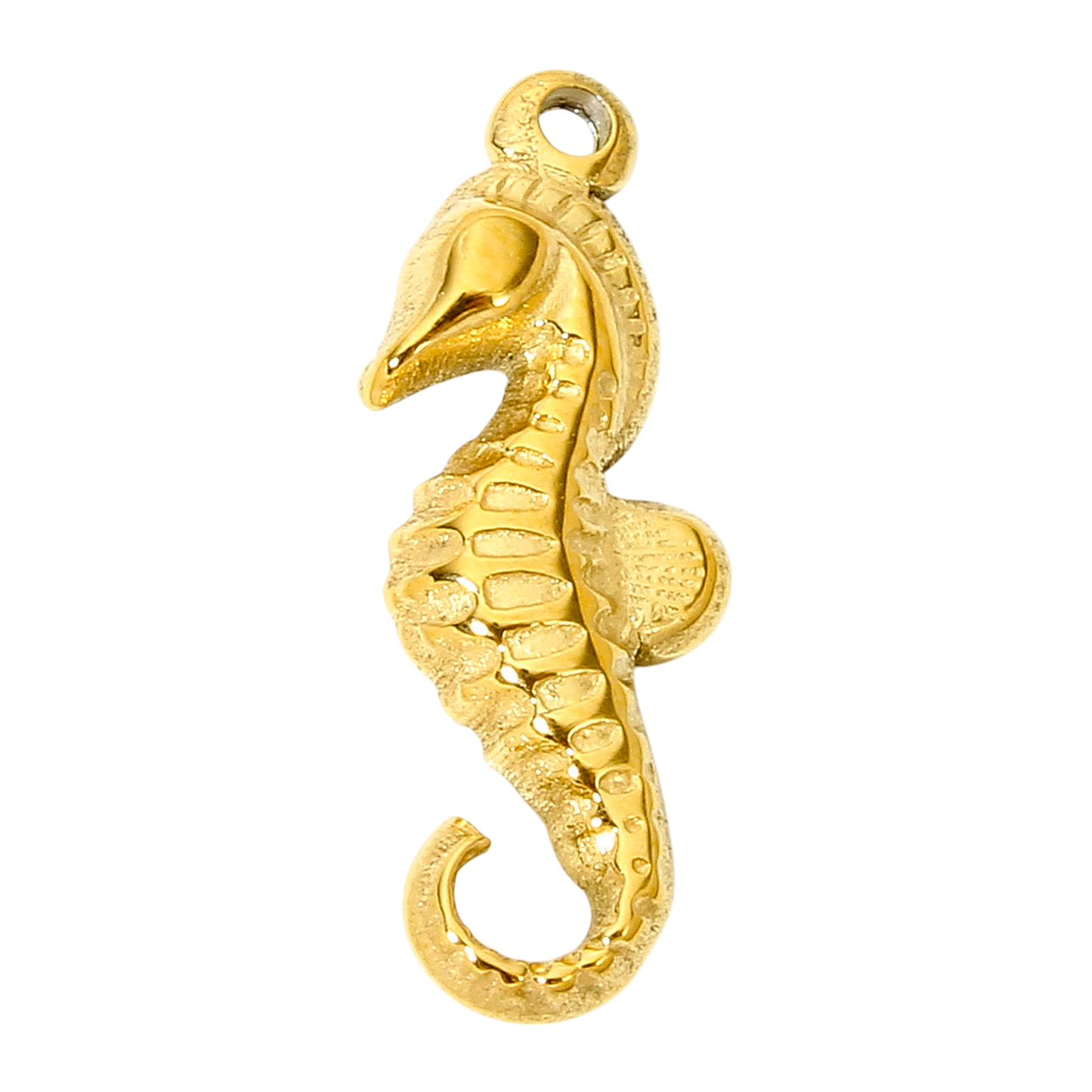 Seahorse